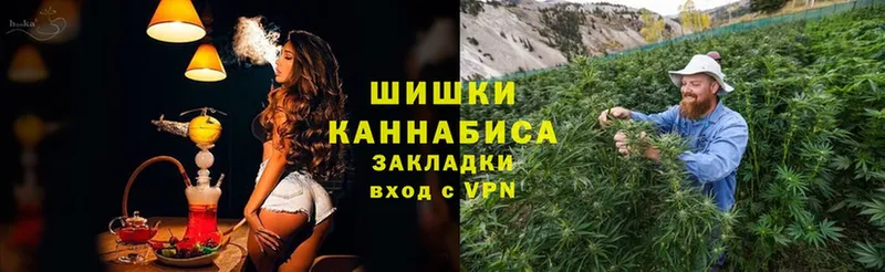 Бошки Шишки White Widow  продажа наркотиков  ОМГ ОМГ   Боровичи 